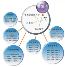 以组织结构变革窥企业管理 咨询视角的演进与价值