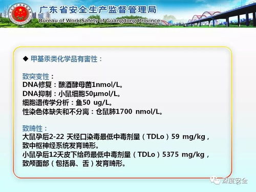 工贸企业危险化学品安全管理实务指南