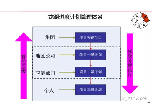 龙湖企业管理与运营精细化管理实践及咨询启示