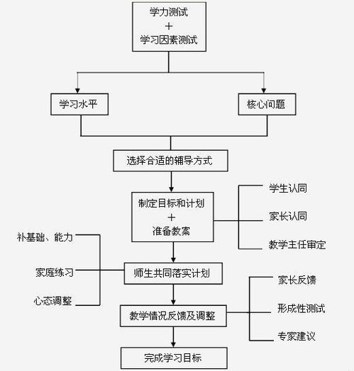 构建高效企业管理体系 咨询赋能与战略实践