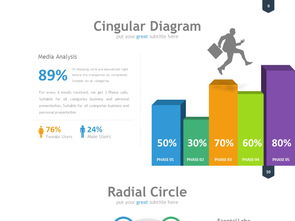 企业管理咨询 基于商业分析矩阵的成功计划测试项目分析